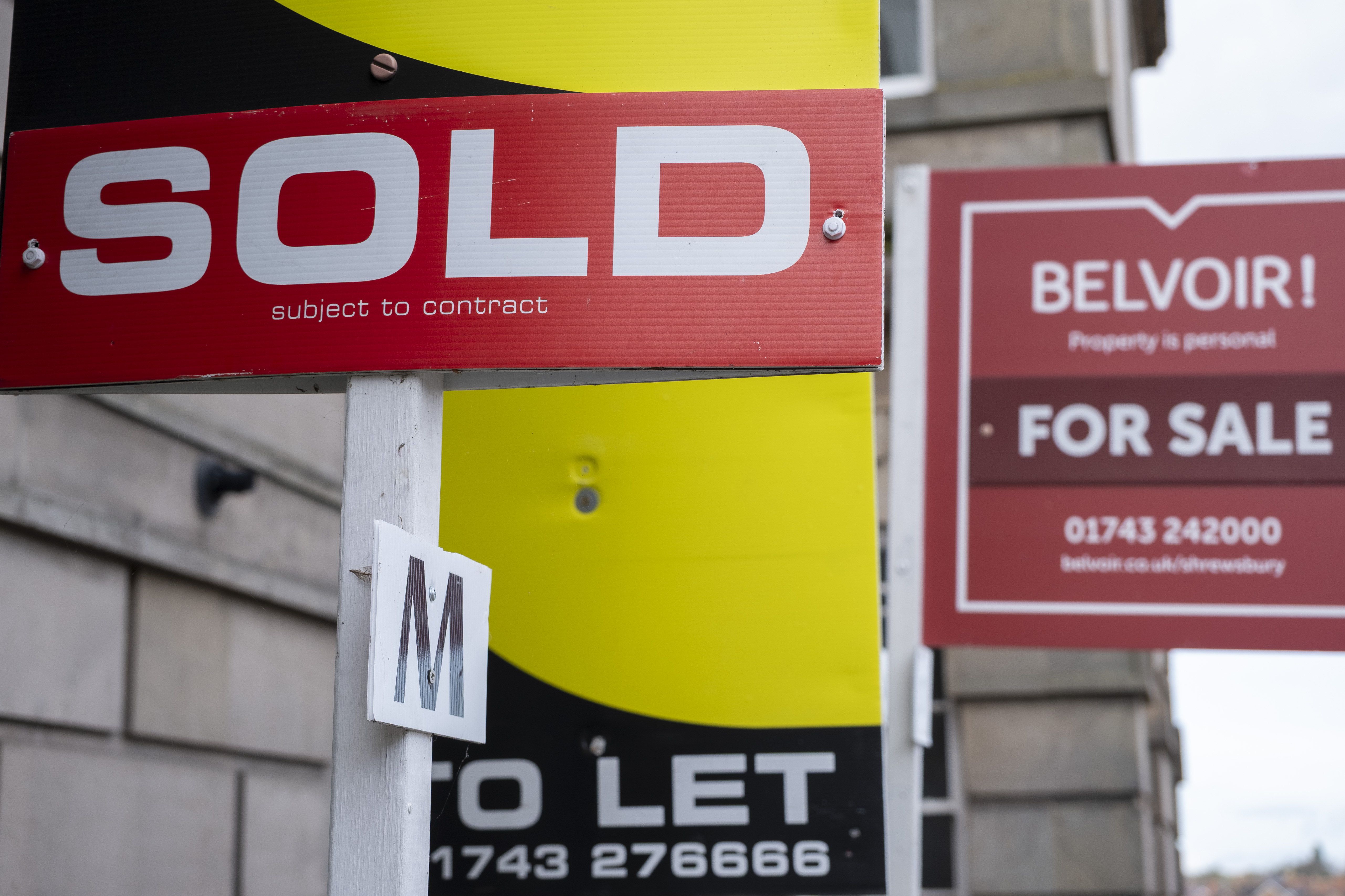 collection of for sale signs