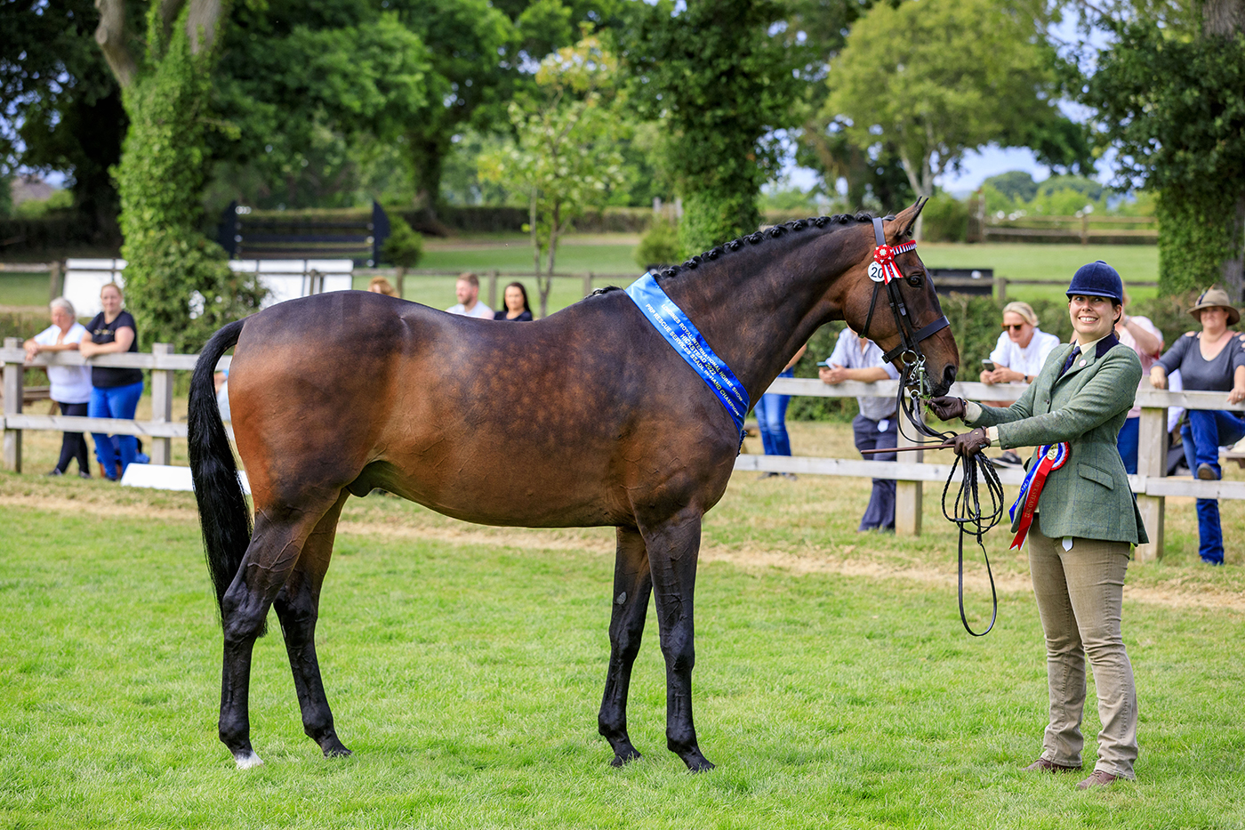 Hickstead Saturday 30th July