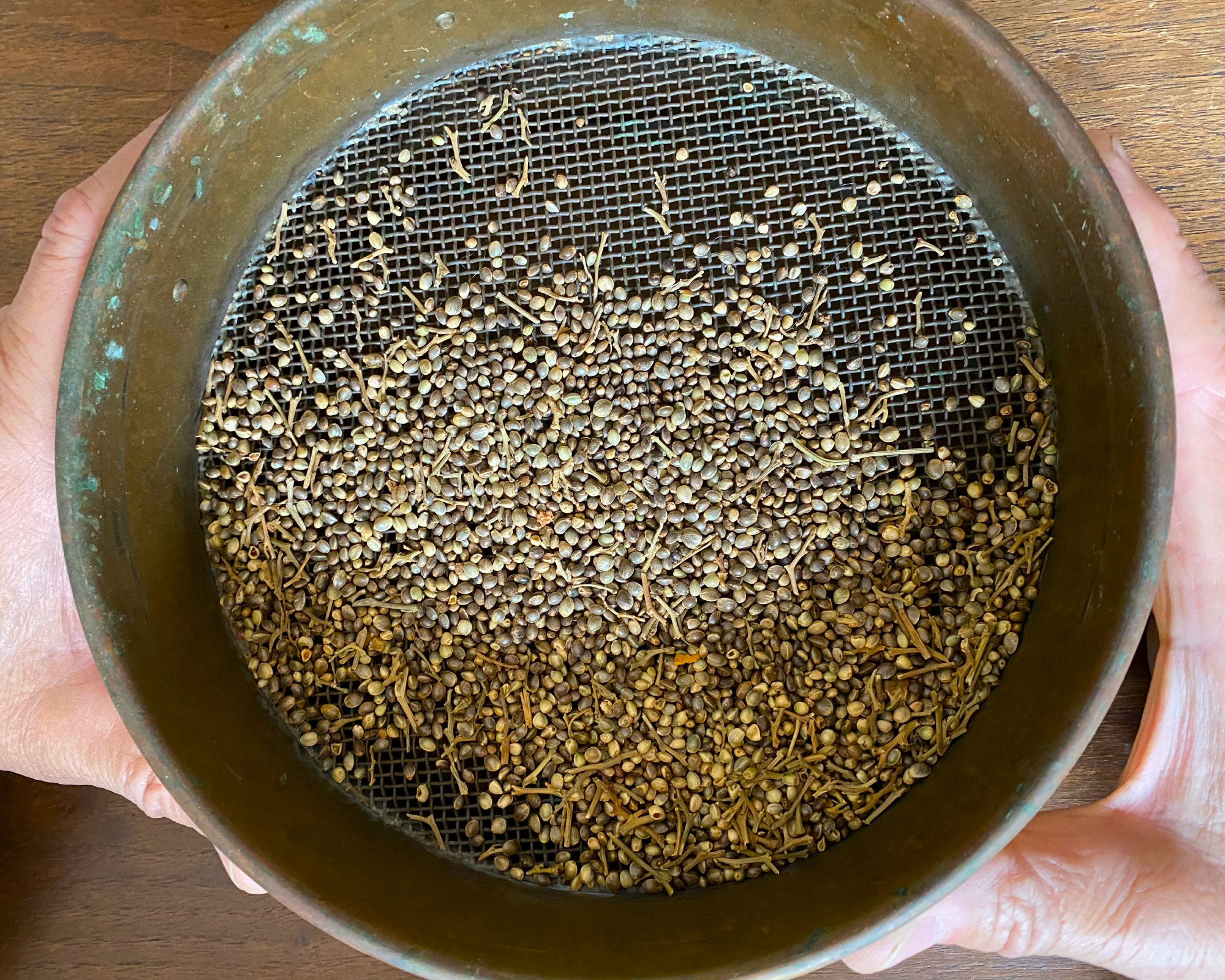 hands sifting seeds in a sieve