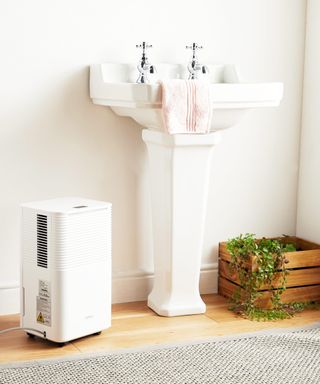 white pedestal bathroom basin and bathroom dehumidifier