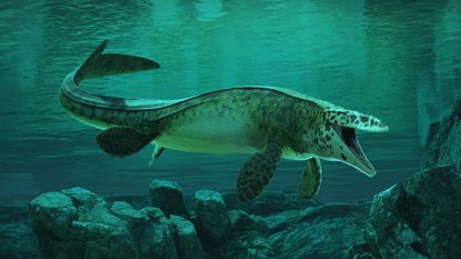 An illustration of a large, underwater reptile, its mouth open and facing the camera.