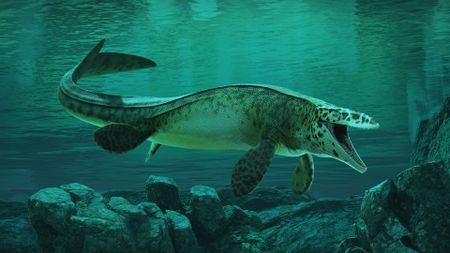 An illustration of a large, underwater reptile, its mouth open and facing the camera.