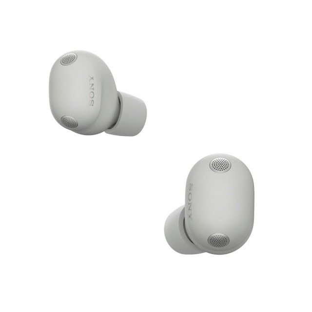 A silver pair of Sony WF-1000XM6 wireless earbuds on a white background.
