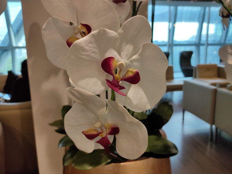 Realme XT camera sample