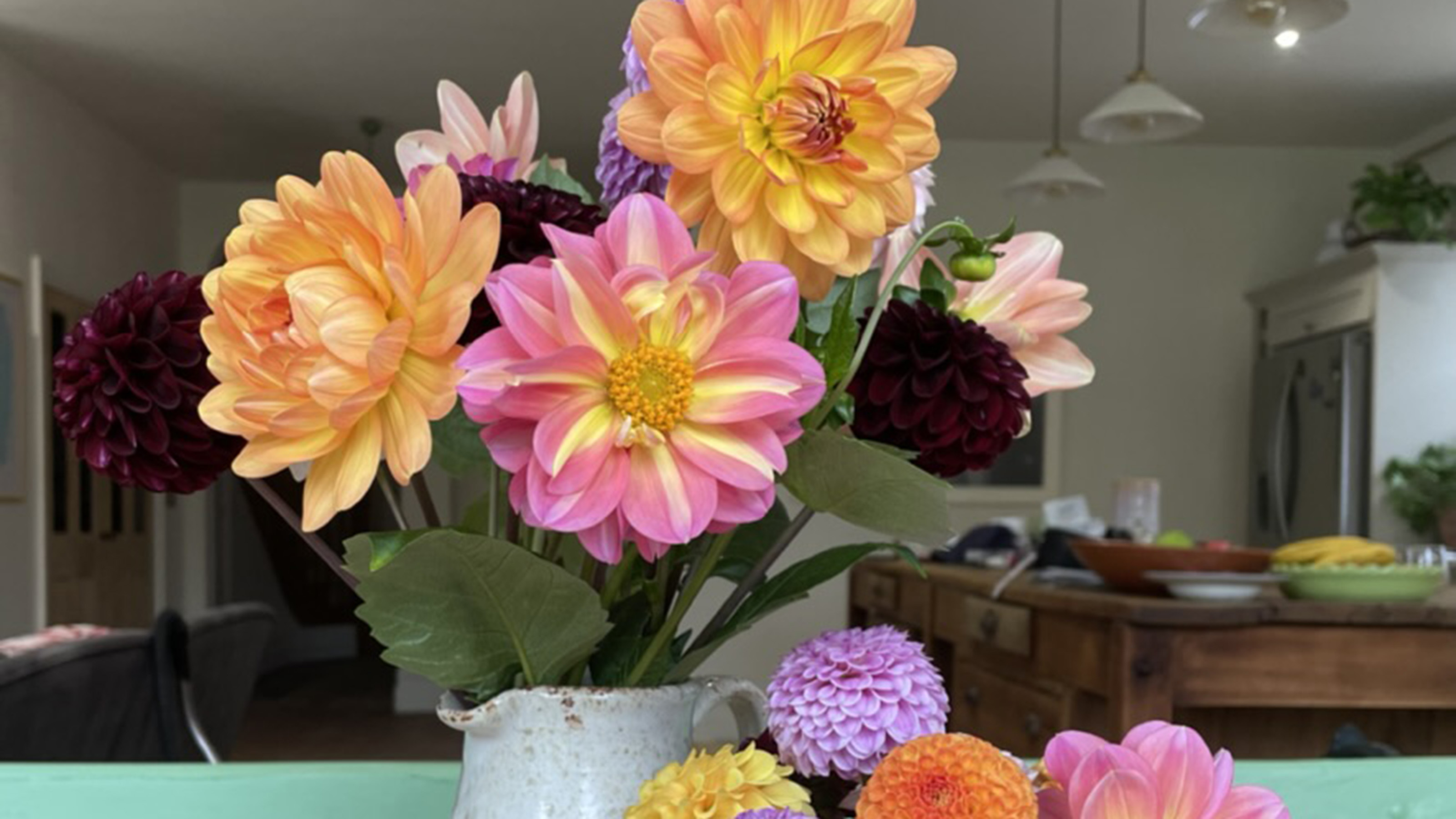 Dahlias in a jug