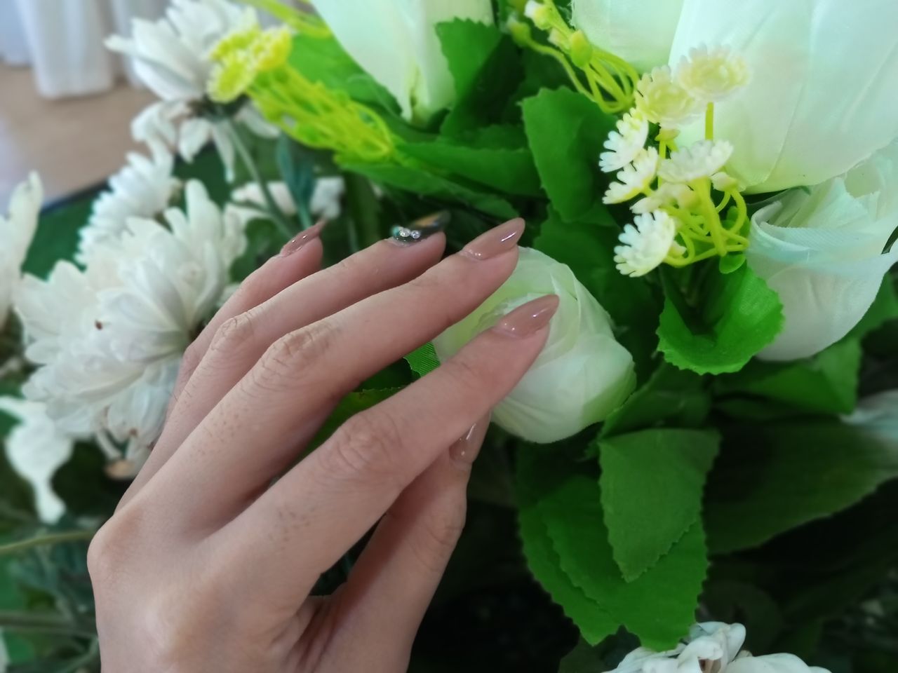 Tecno Camon 20 Premier sample shots