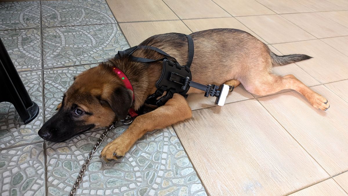 Enabot ROLA PetTracker