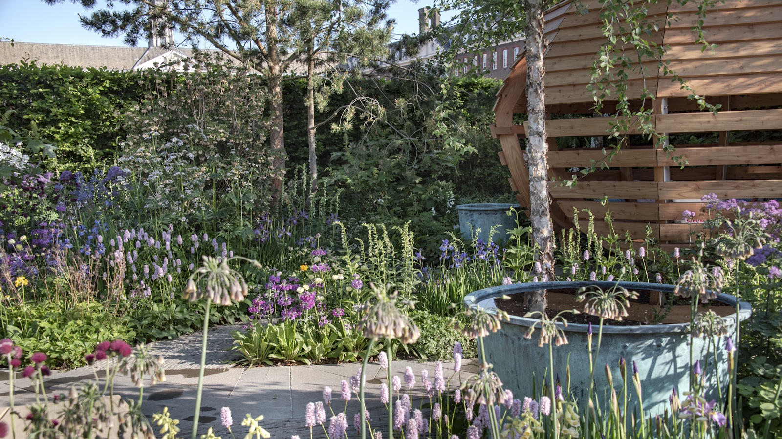 Down’s Syndrome Scotland Garden at the RHS Chelsea Flower Show 2025, designed by Nick Burton and Duncan Hall