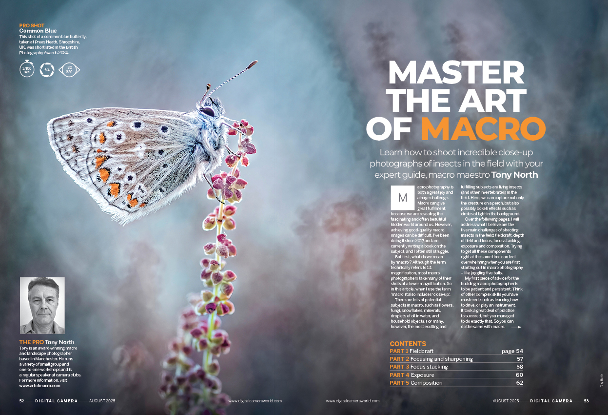 Image showing the first two pages of the cover feature of issue 297 (August 2025) of Digital Camera magazine, on the subject of macro photography