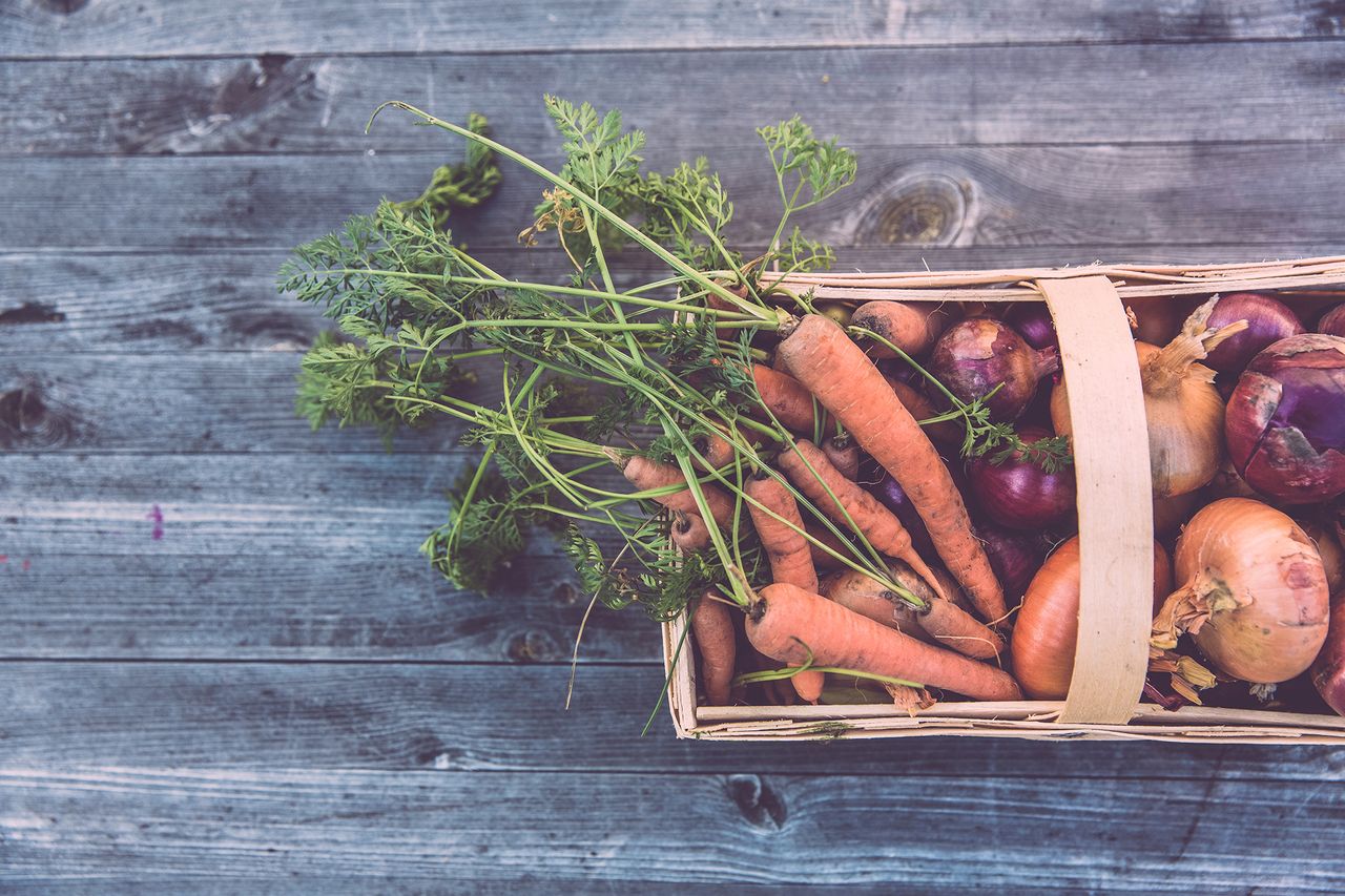 companion planting carrots unsplash markus spiske