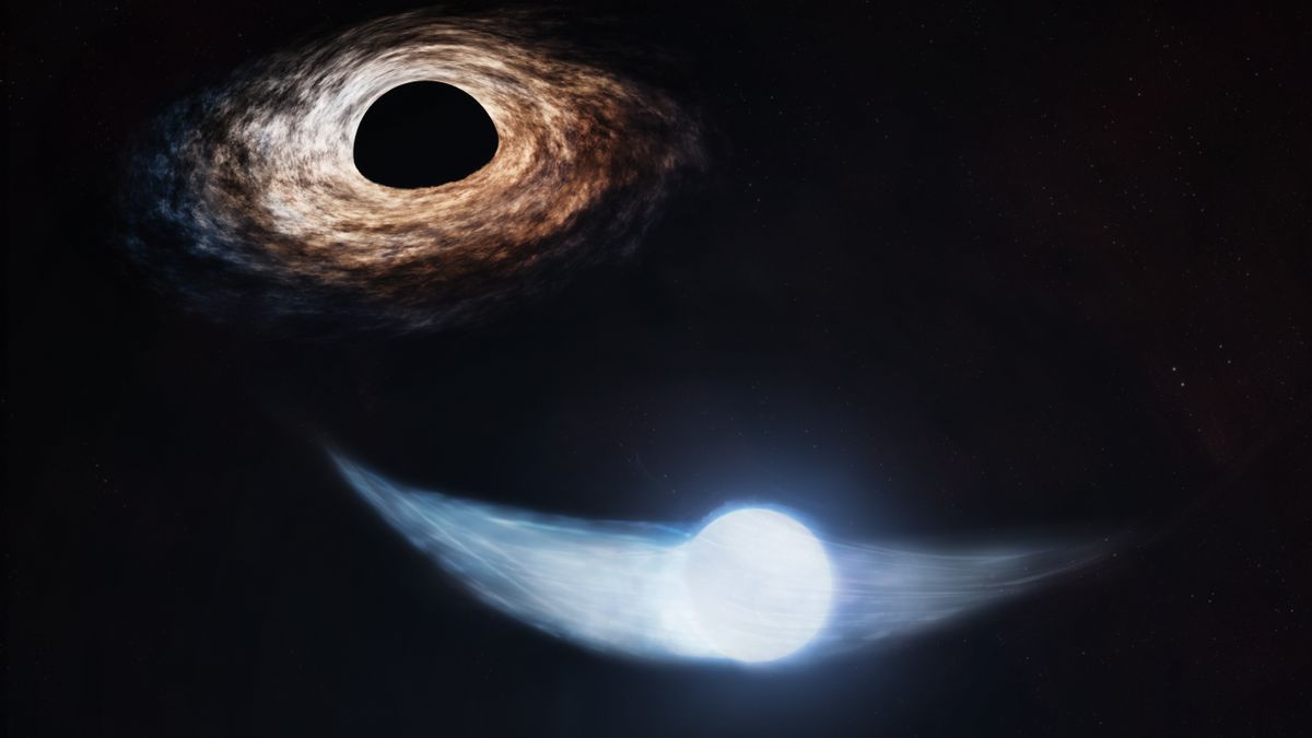 Astronomers discover a black hole’s favorite snack: “The star seems to live to die another day”