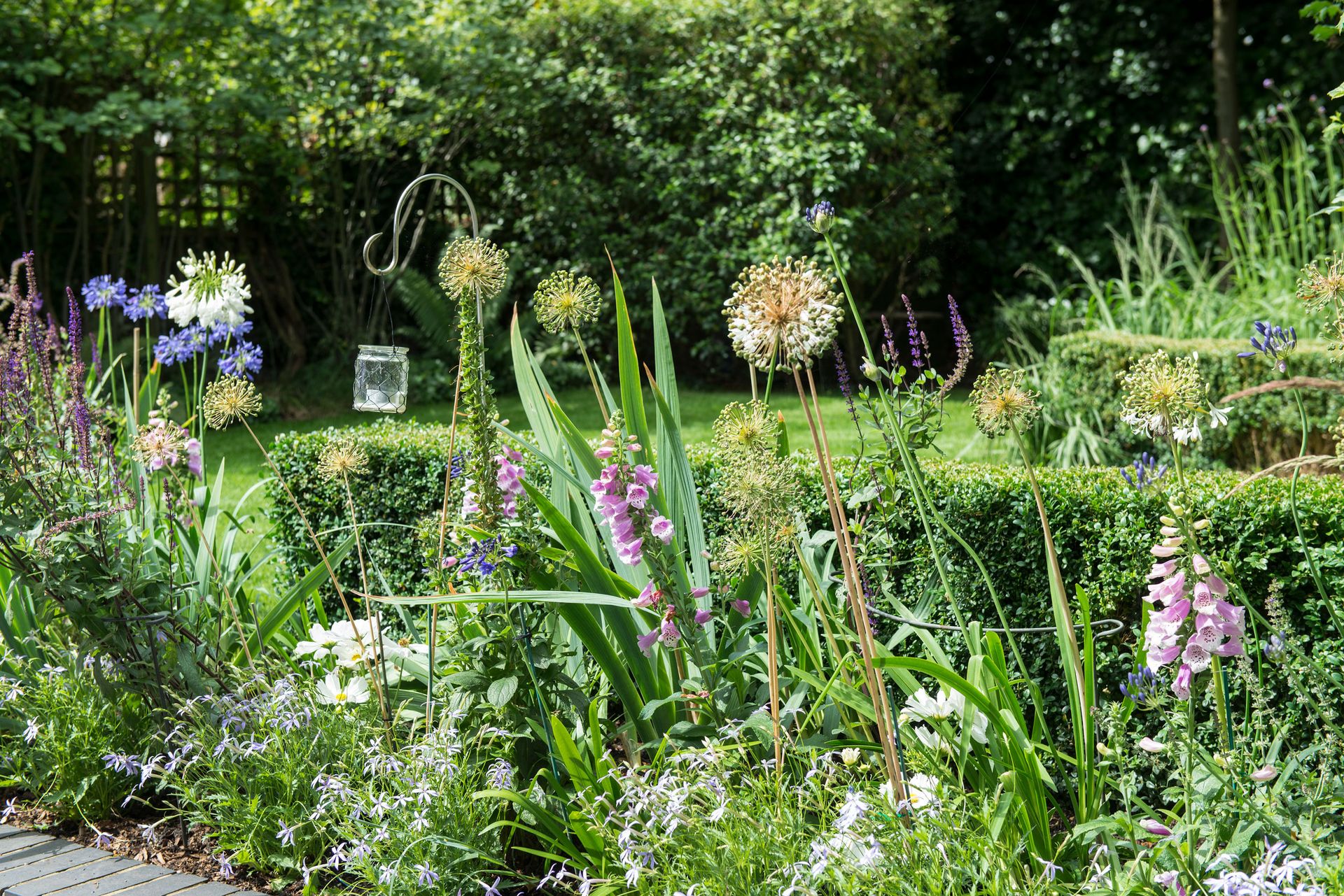 Cottage garden planting
