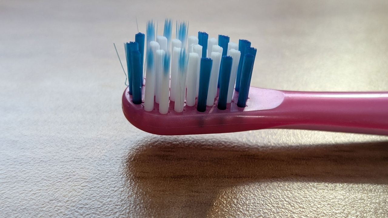 Colgate Kids Battery Powered Toothbrush, a close-up photo of the brush head