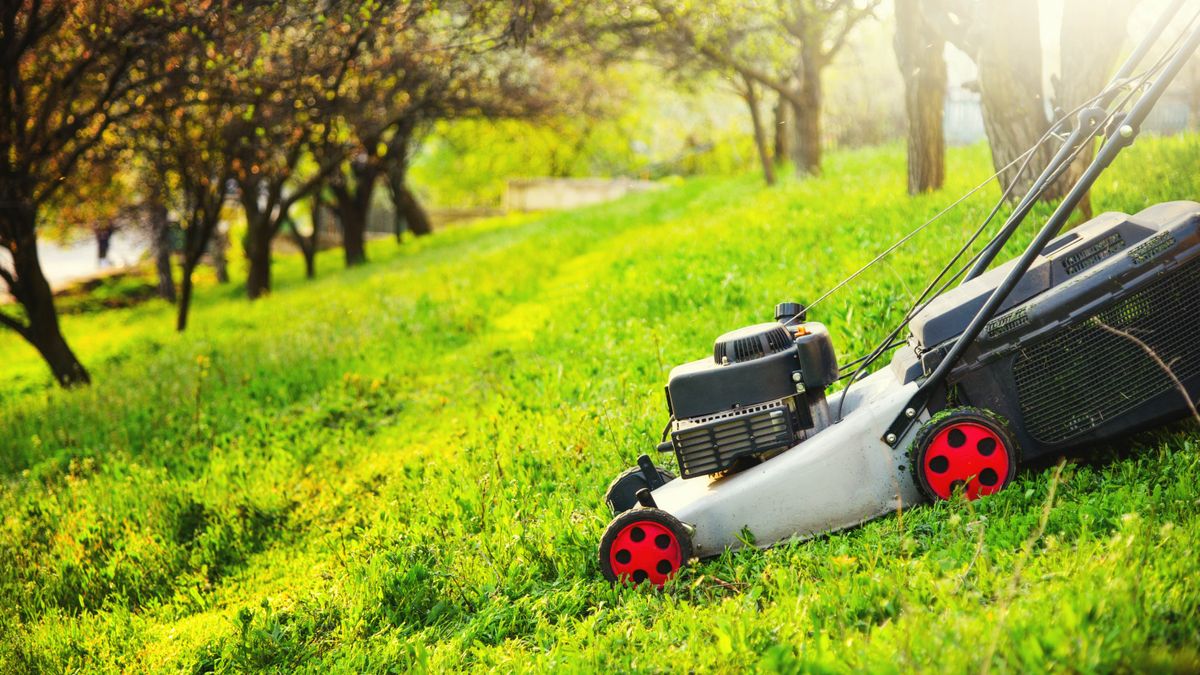 9 signs that you’re cutting your grass too short | Tom's Guide