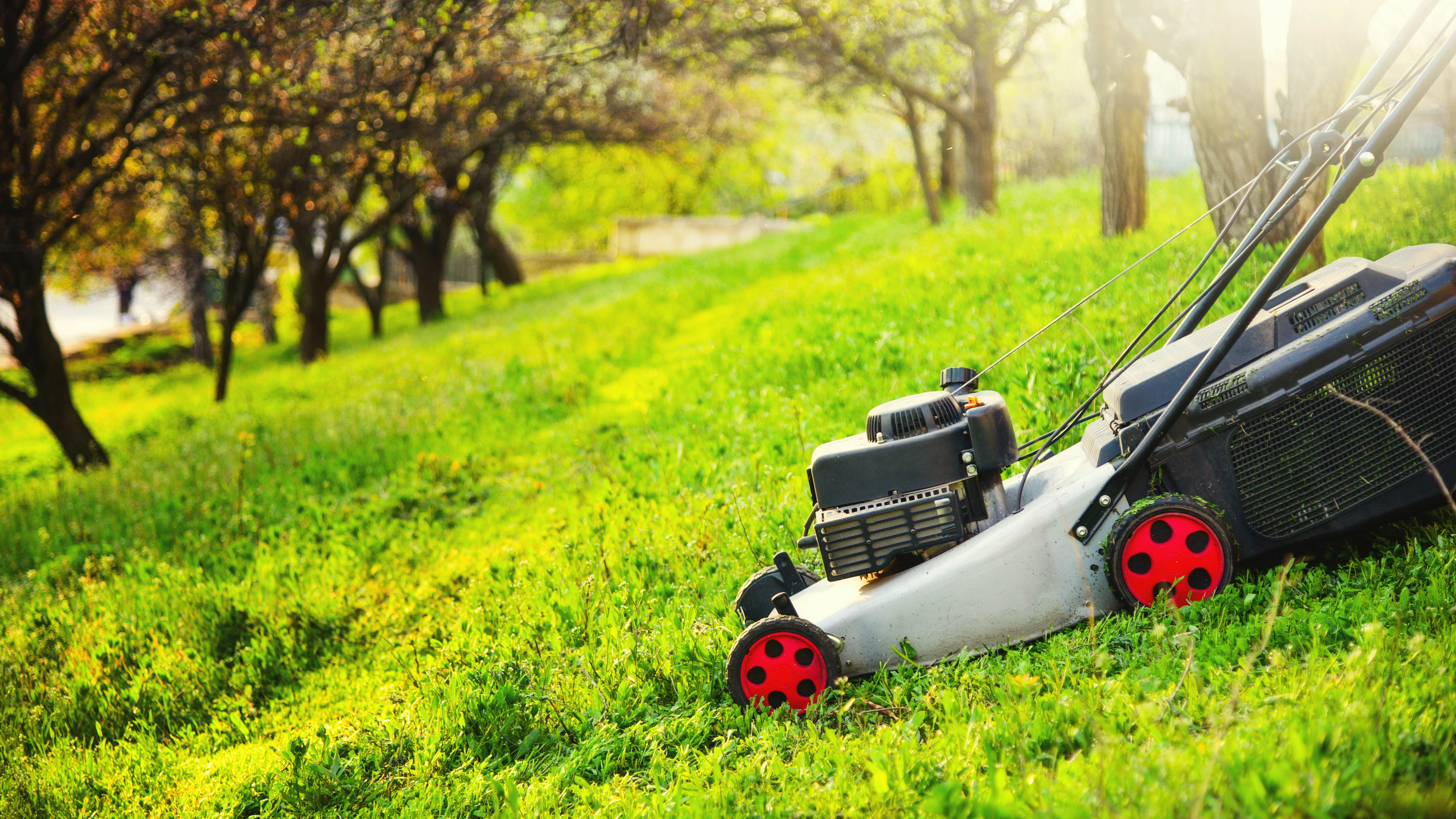 lawn mower on a hill