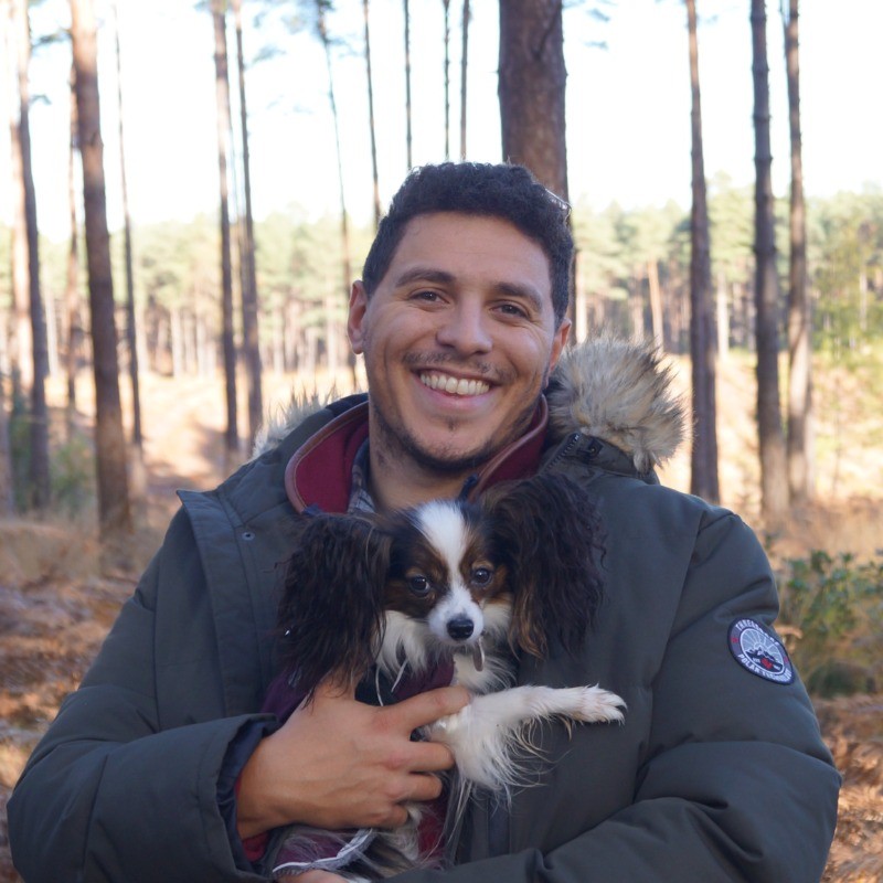 A smiling man in a grey puffer jacket holding a small tricolour Papillon dog in a pine forest.