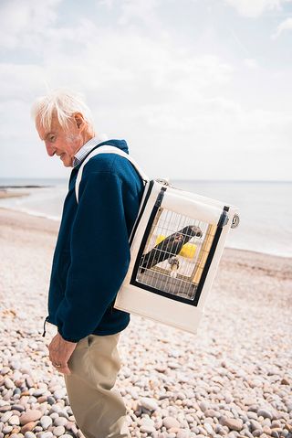 Rehabilitating Roy's Parrot, 2018, by Alexander Flemming, among 100 winning images of Portrait of Britain