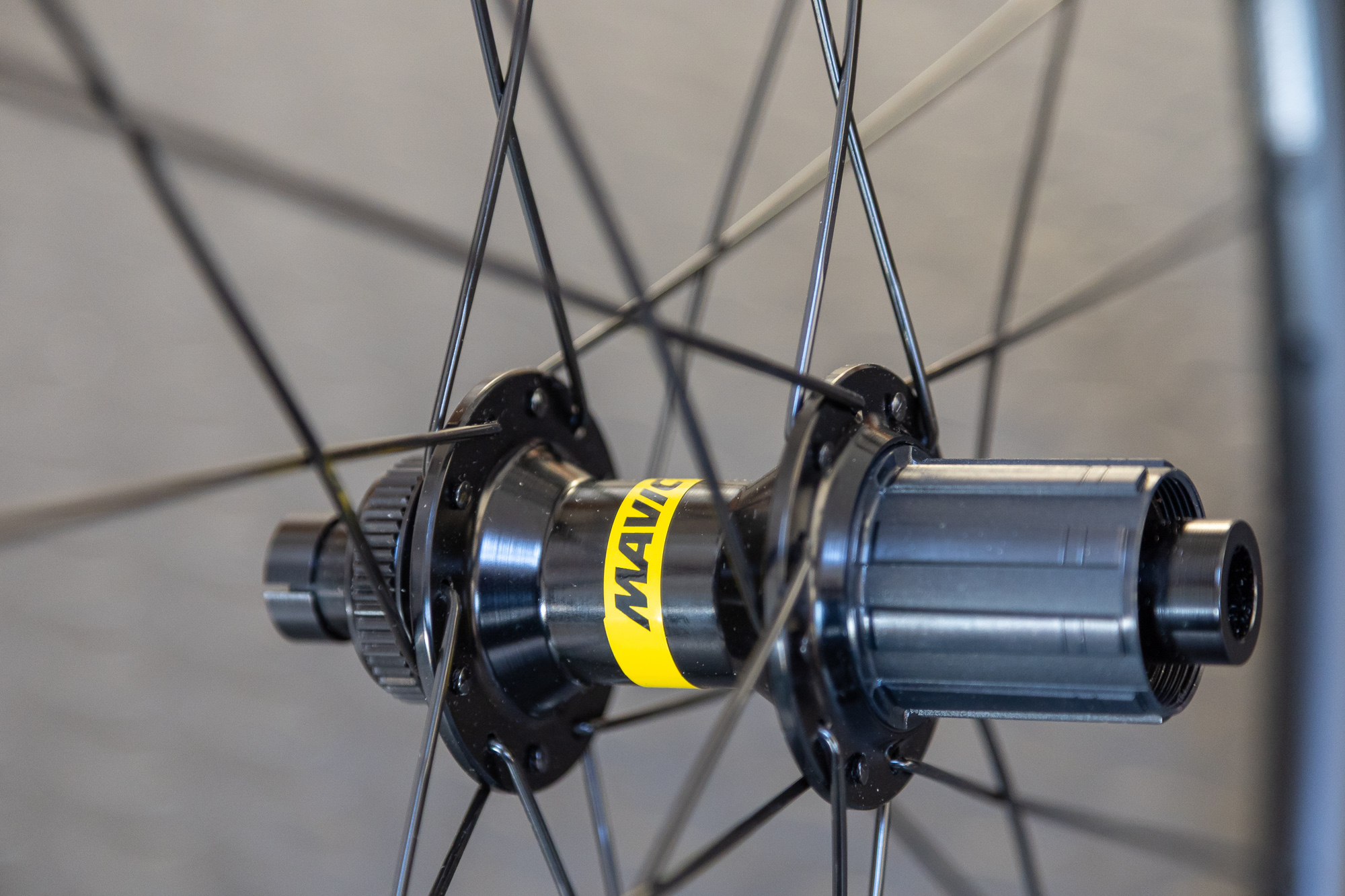 close up of Mavic ratchet 360 freehub