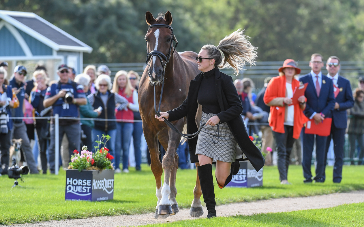 Caroline Clarke_TOUCH TOO MUCH_LRBHT_PN19_102586