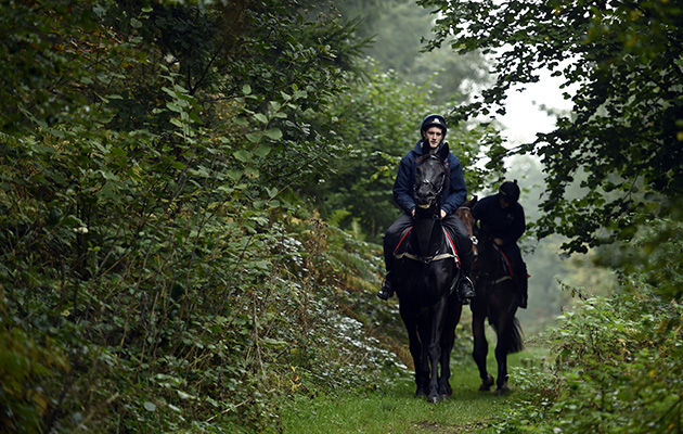 Hacking through the woods
