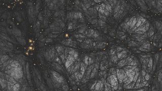 Dark matter first assembled into clumps and filaments before attracting ordinary matter to it and then forming the first stars