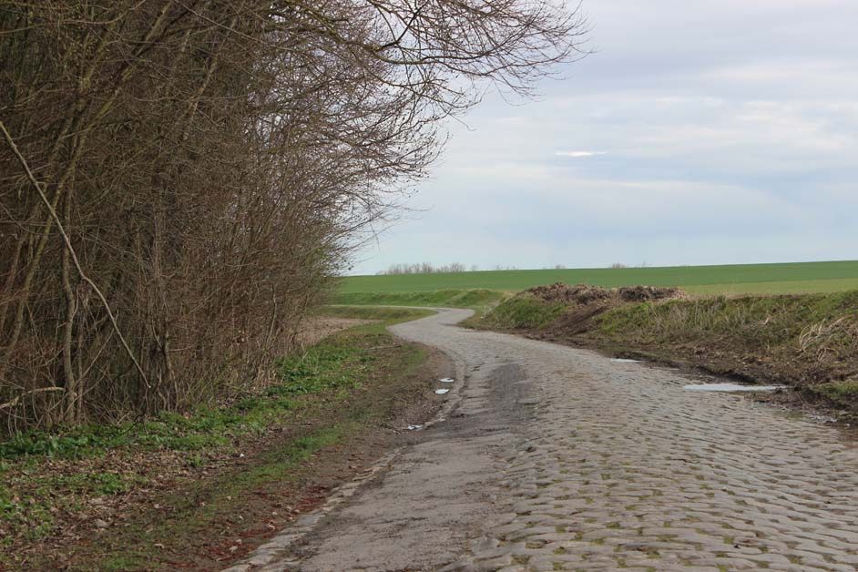 Will there be any twists and turns in the race on sector 15?