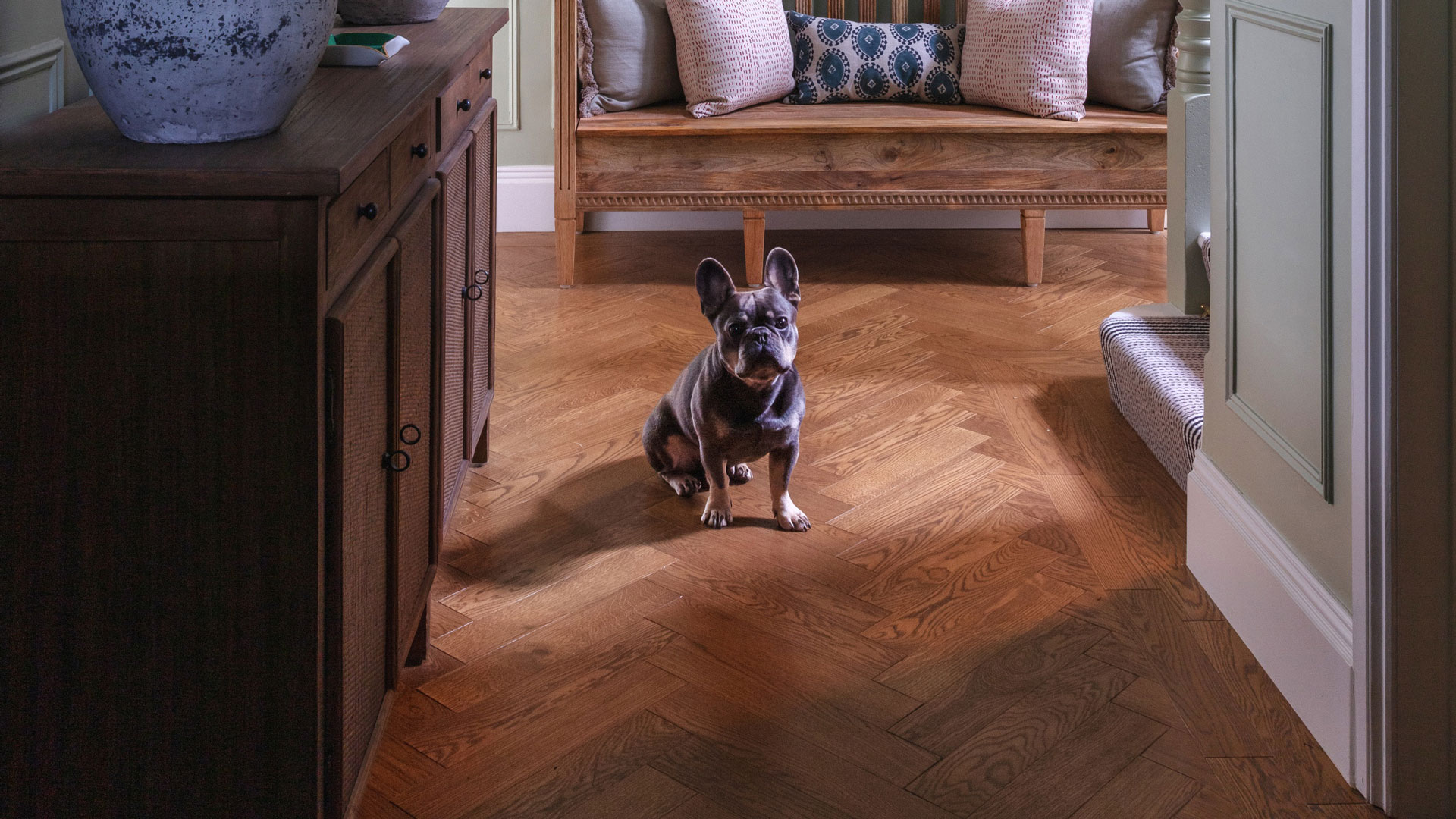 hallway with herringbone engineered timber flooring with little dog sitting on it