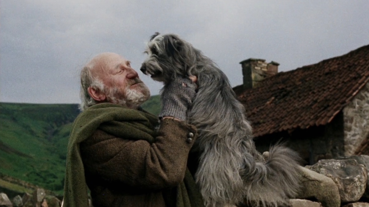 old man holding up a dog