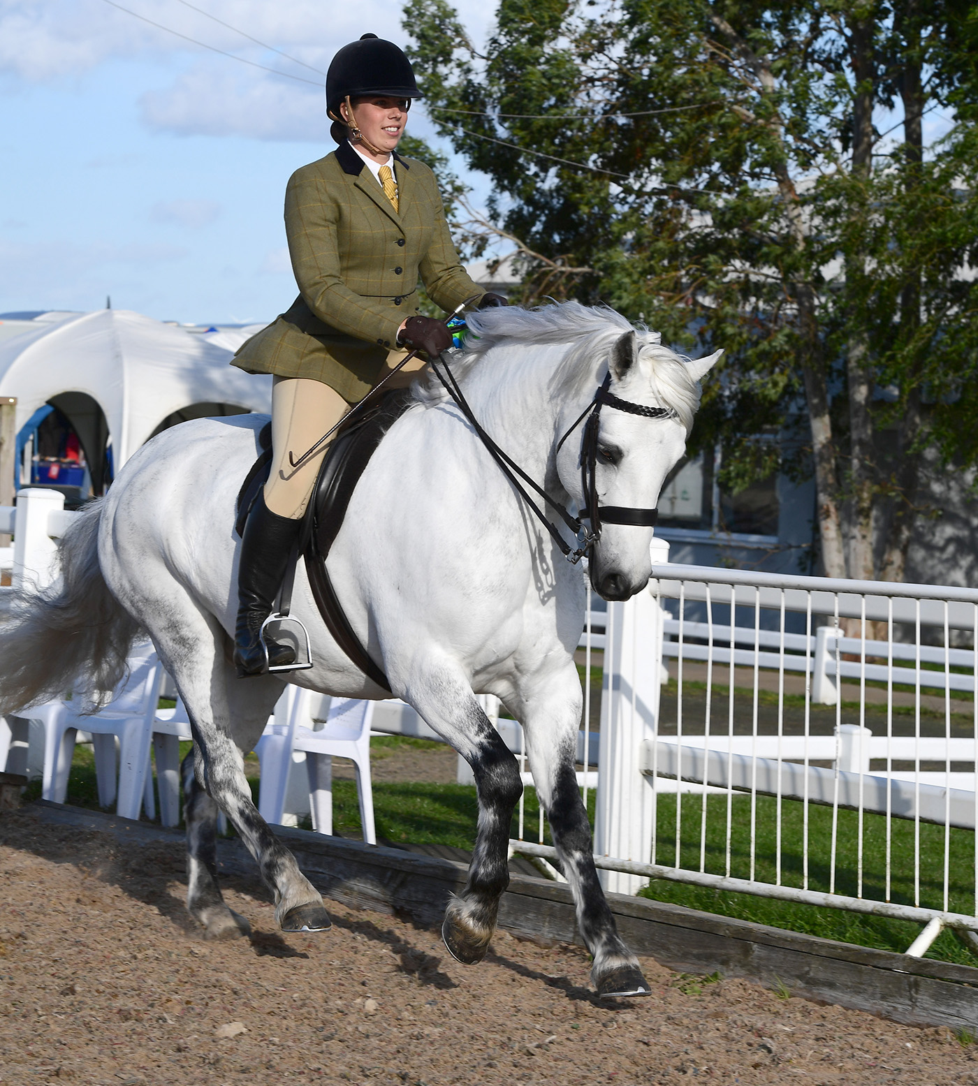 Heritage Show 15.10.22Cl.79 N/F Conn1st No. 116 Eastlands Dunedin
