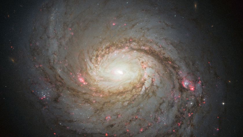 Hubble image of the spiral galaxy NGC 1068