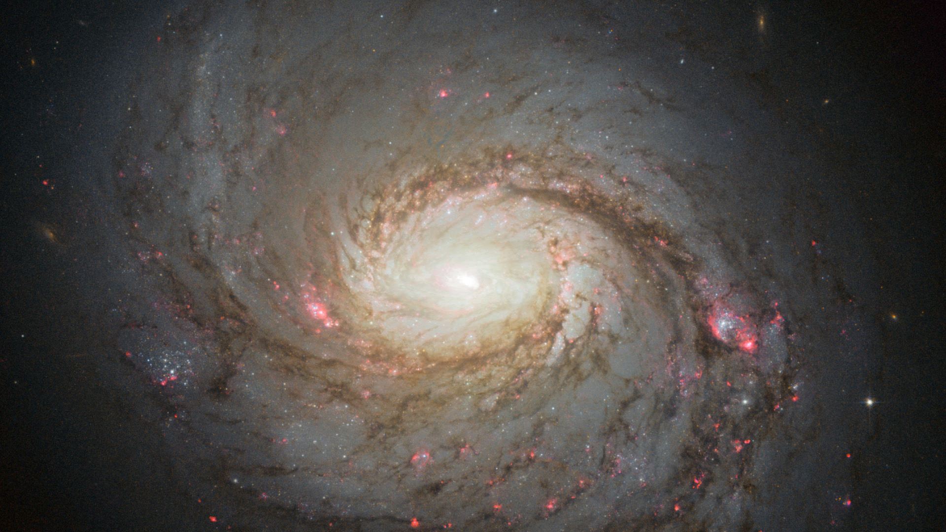Hubble image of spiral galaxy NGC 1068