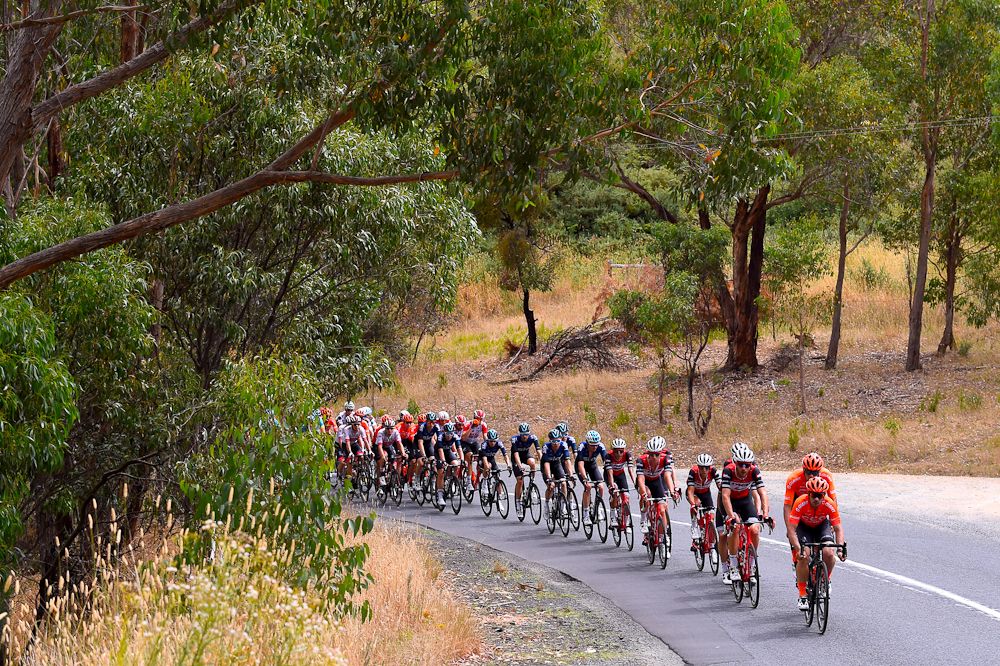 The Tour Down Under peloton