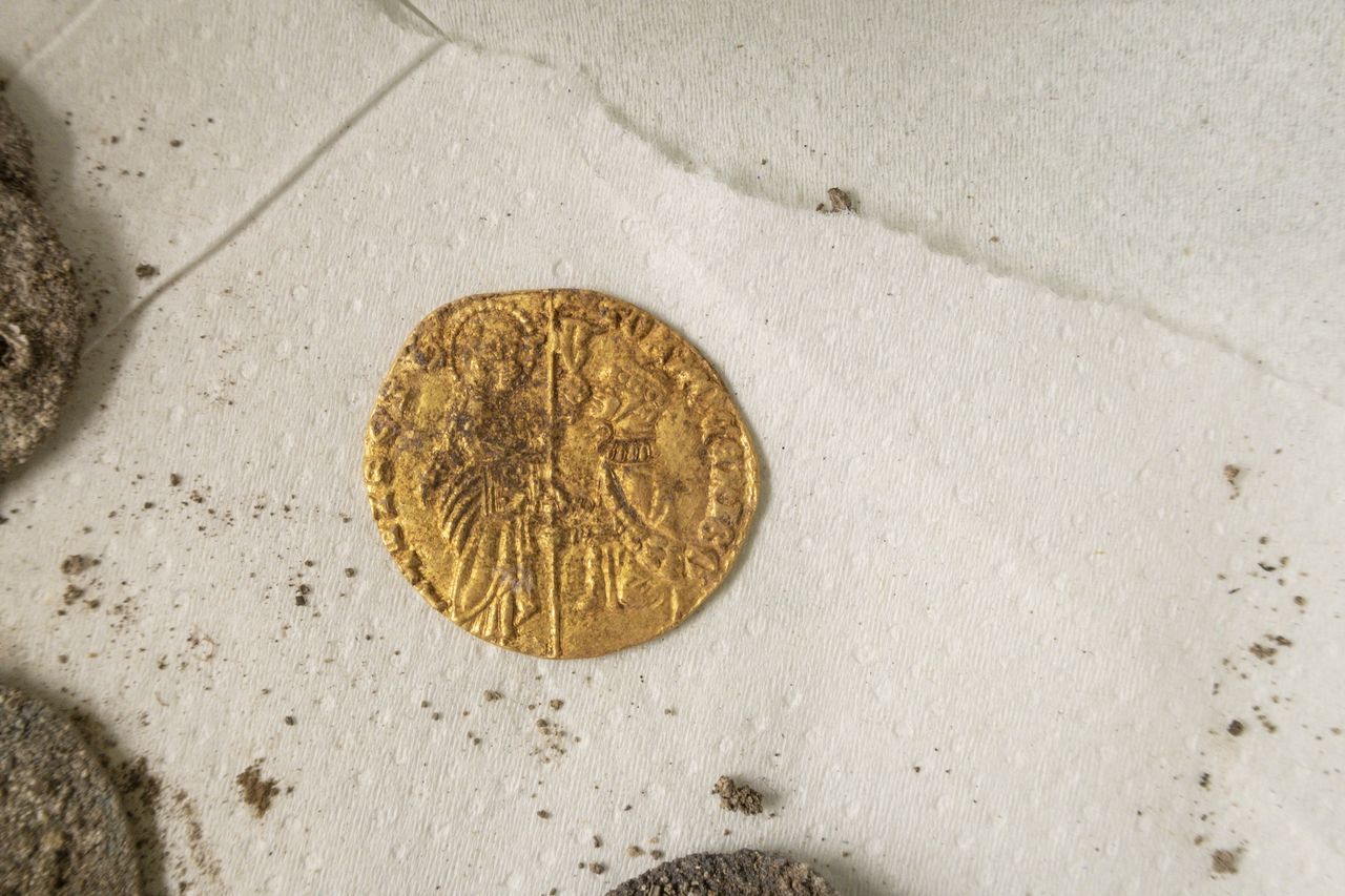 a closeup of a gold coin