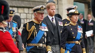 Prince Harry wants "family, not an institution"