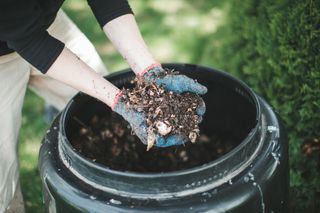 Man hold out his hands with gardening gloves holding out hand fulls of compost from his compost bin