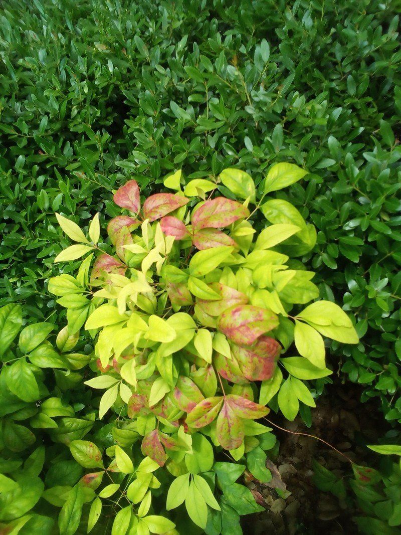 Amazon Fire Hd 10 2021 Camera Sample 6