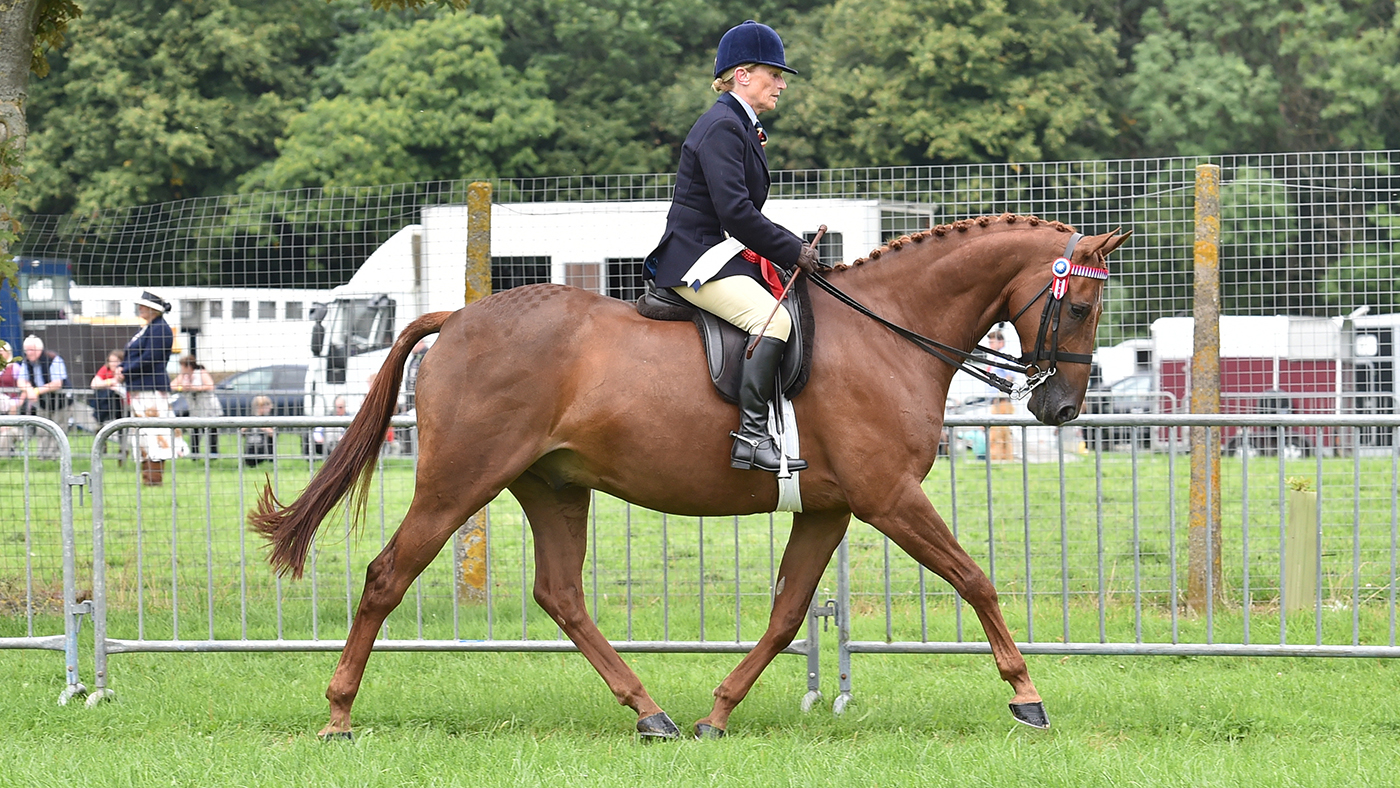 Up and Running at Staffordshire Country