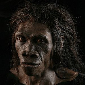 A reconstruction of a Homo erectus female (based on fossil ER 3733) by paleoartist John Gurche, part of the Smithsonian National Museum of Natural History’s Human Origins Program.