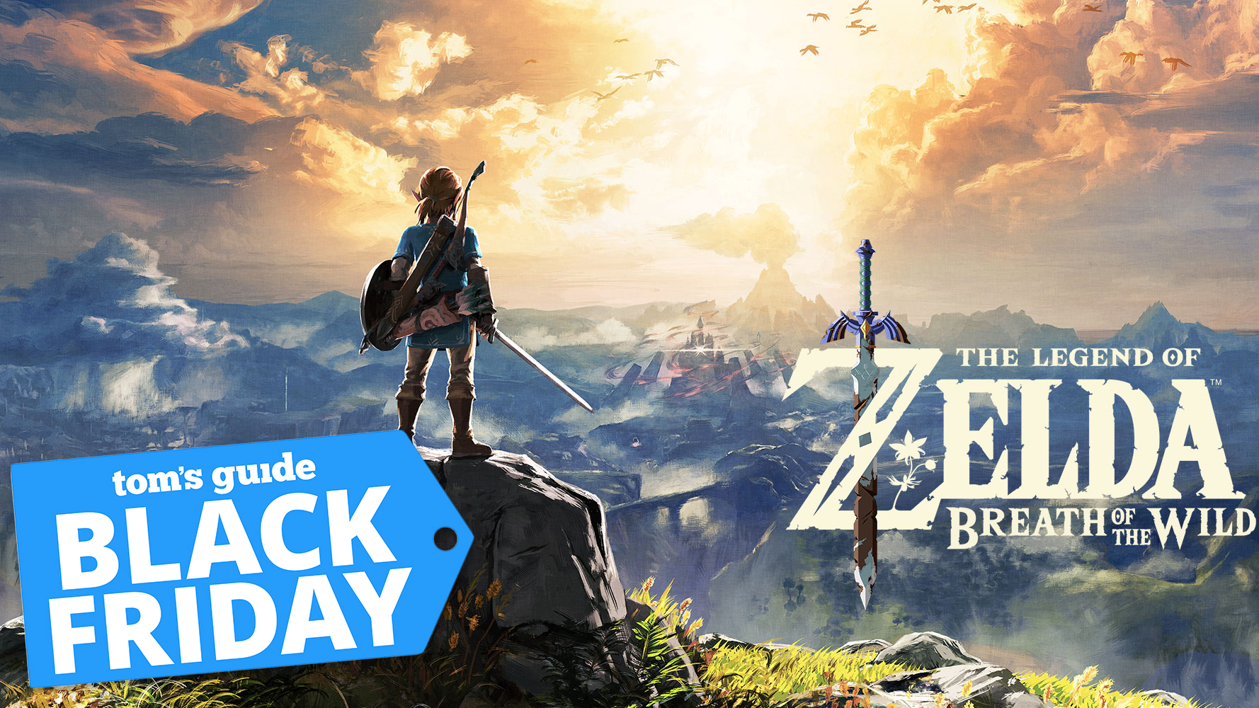 link standing on hill in front of hyrule castle plus black friday tag