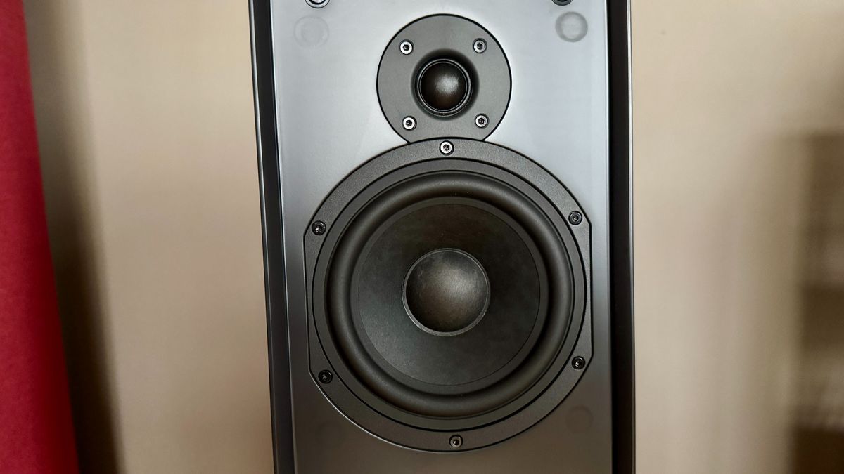Close-up of the Ruark Audio Talisman-R drivers.