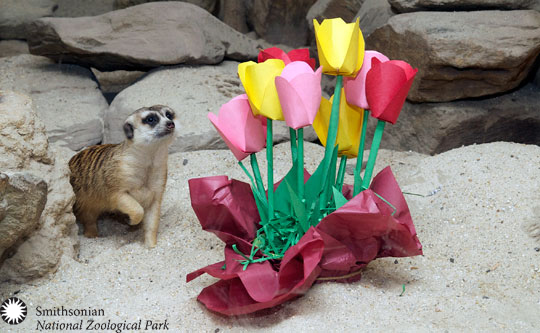 easter at the zoo