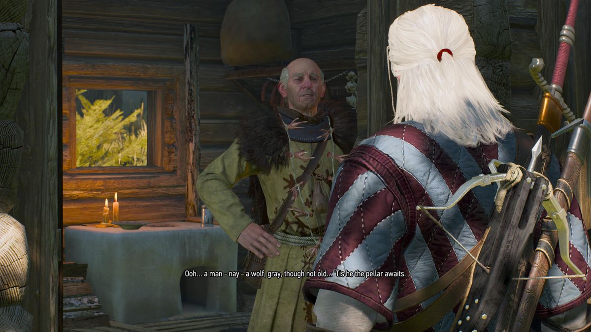 The witcher 3 the pellar