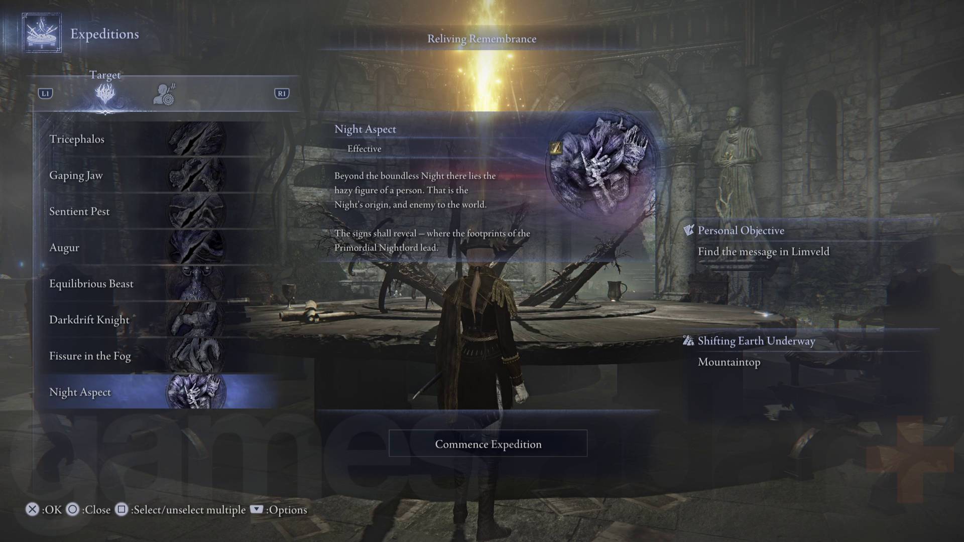 Elden Ring Nighreign Night Aspect Expedition roundtable hold menu