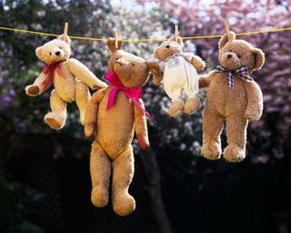 Four teddy bears hanging out to dry and being washed