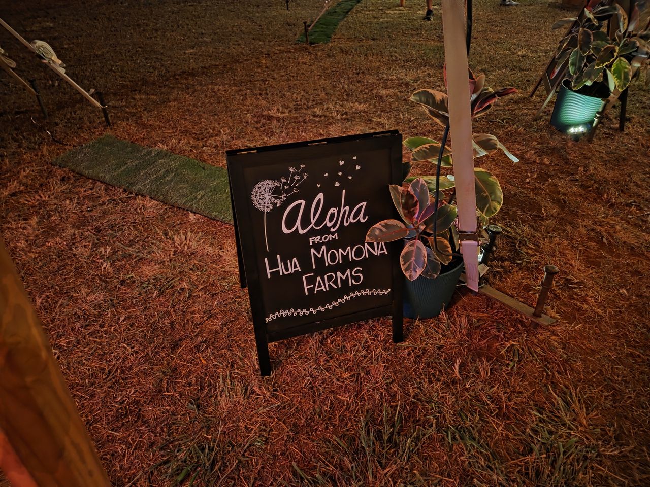 Sign at night by Galaxy S25 Plus