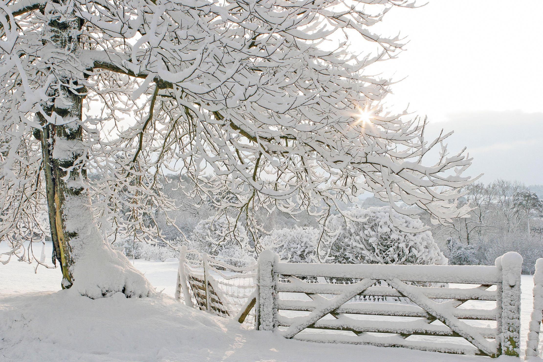 Curious Questions: Are snowflakes really all unique