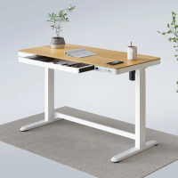 Flexispot EW8 Standing Desk: $499.99