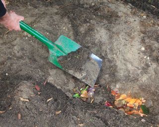 bokashi pre-compost dug into garden trench