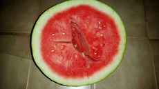 Sliced Open Watermelon