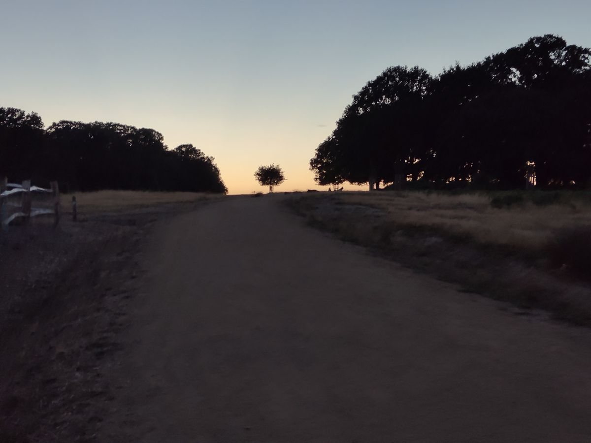 OnePlus 10T camera sample